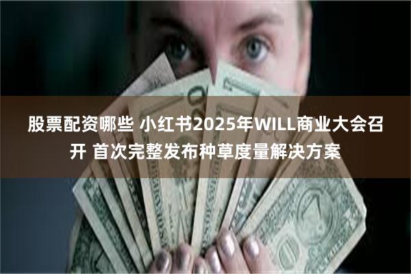 股票配资哪些 小红书2025年WILL商业大会召开 首次完整发布种草度量解决方案