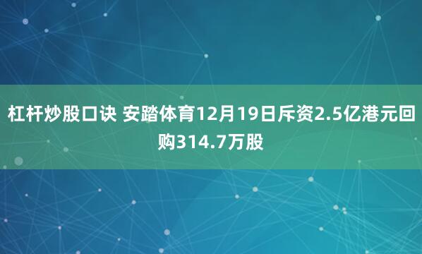 杠杆炒股口诀 安踏体育12月19日斥资2.5亿港元回购314.7万股