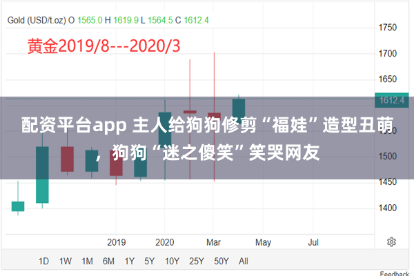 配资平台app 主人给狗狗修剪“福娃”造型丑萌，狗狗“迷之傻笑”笑哭网友