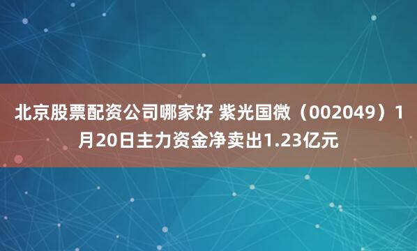 北京股票配资公司哪家好 紫光国微（002049）1月20日主力资金净卖出1.23亿元