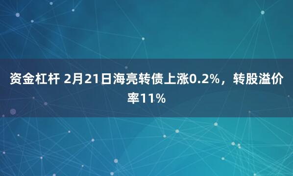 资金杠杆 2月21日海亮转债上涨0.2%，转股溢价率11%