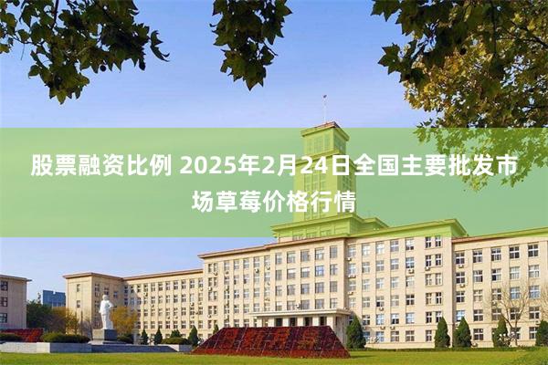 股票融资比例 2025年2月24日全国主要批发市场草莓价格行情