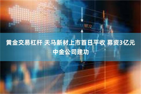 黄金交易杠杆 天马新材上市首日平收 募资3亿元中金公司建功