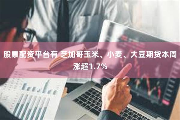 股票配资平台有 芝加哥玉米、小麦、大豆期货本周涨超1.7%