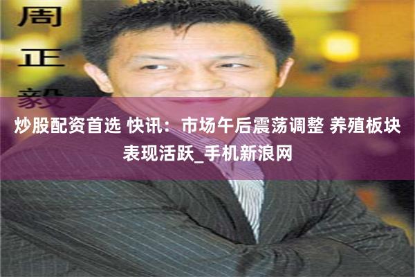 炒股配资首选 快讯：市场午后震荡调整 养殖板块表现活跃_手机新浪网