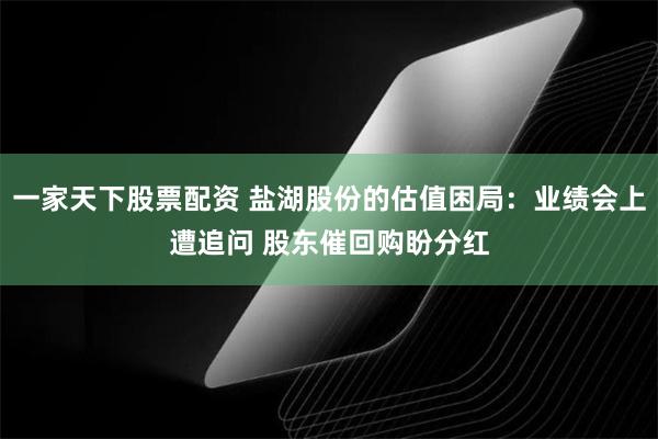 一家天下股票配资 盐湖股份的估值困局：业绩会上遭追问 股东催回购盼分红